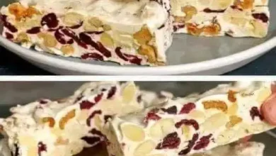 nougat-almonds-walnuts-cranberries